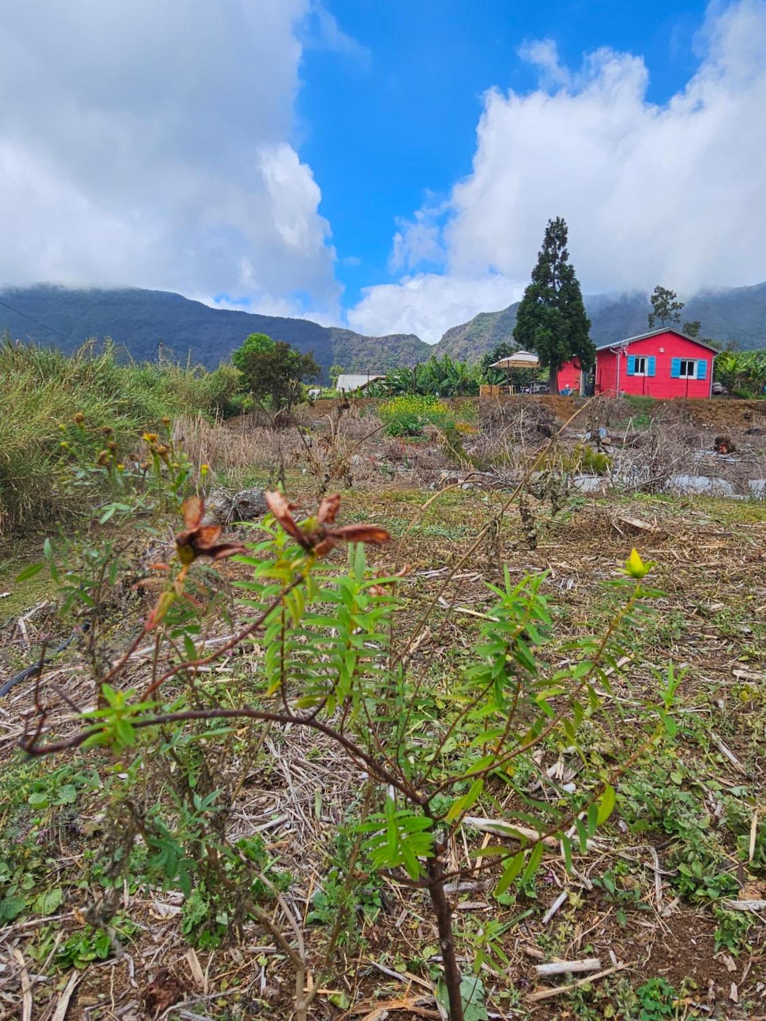 Au Coeur Des Plantations Casa de hóspedes La Possession Exterior foto